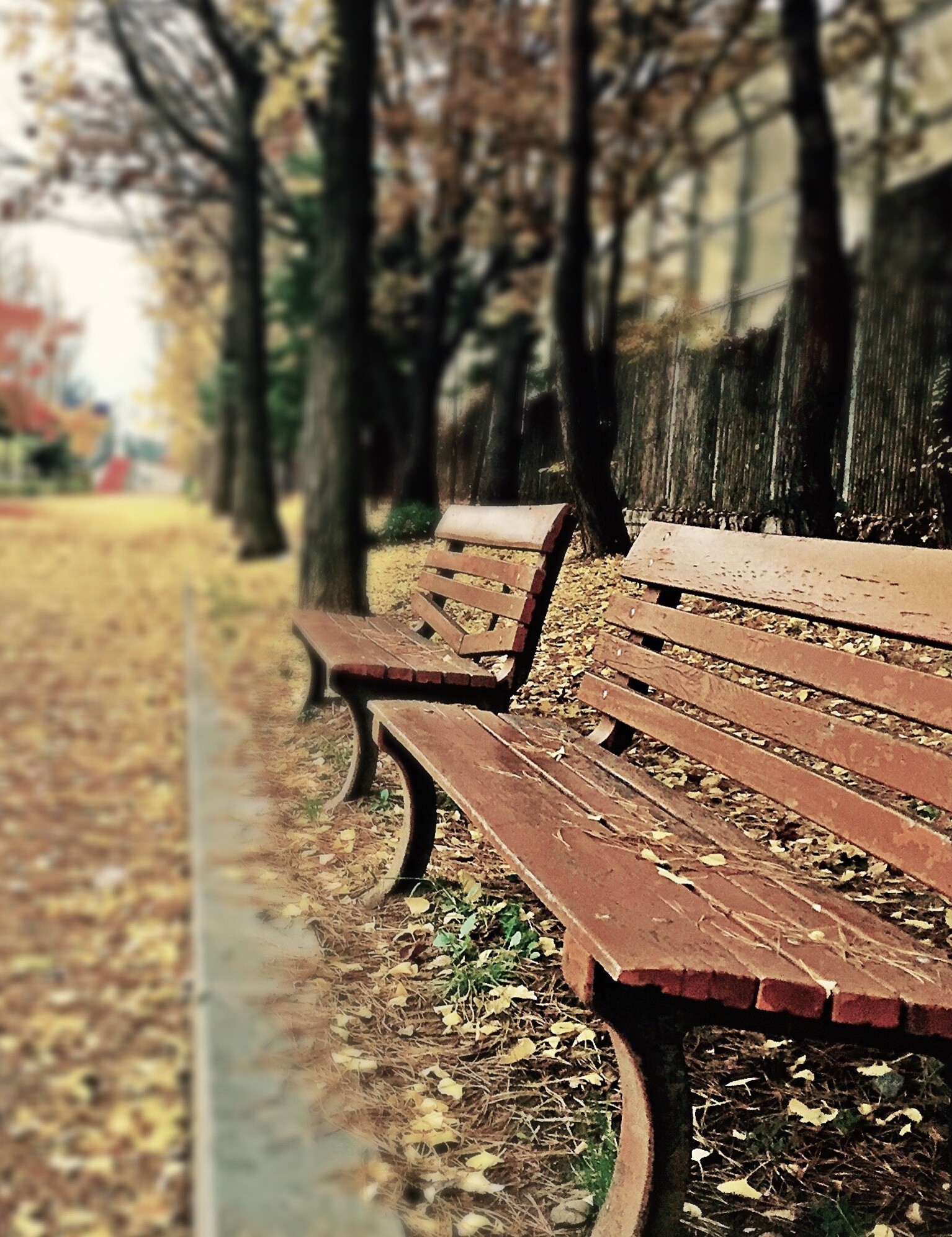 benches in the fall at AWI 